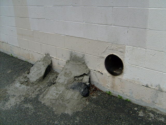 S6300428.JPG