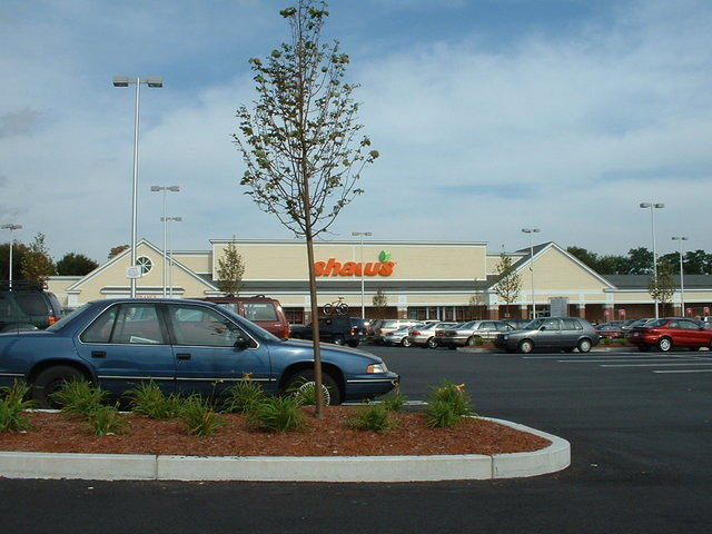 02.jpg