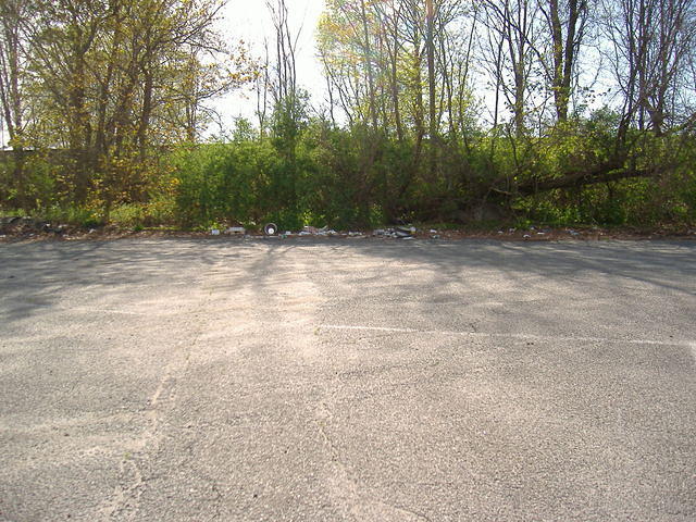 05.jpg