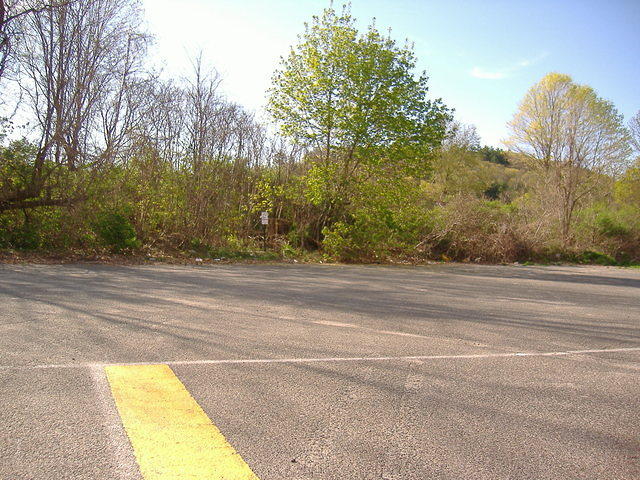 06.jpg