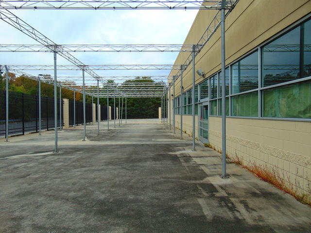 Looking in the garden center