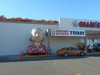 OLLIES 2
