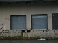 S6300425.JPG
