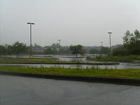 S6300449.JPG
